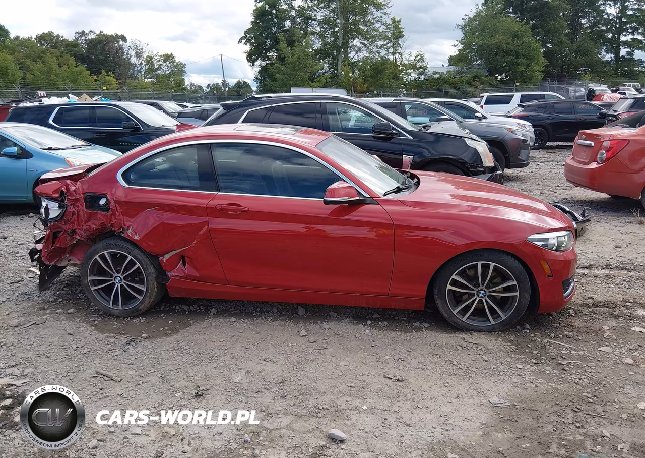 2019 BMW 230I xDrive VIN:WBA2J3C57KVD49242 - 14
