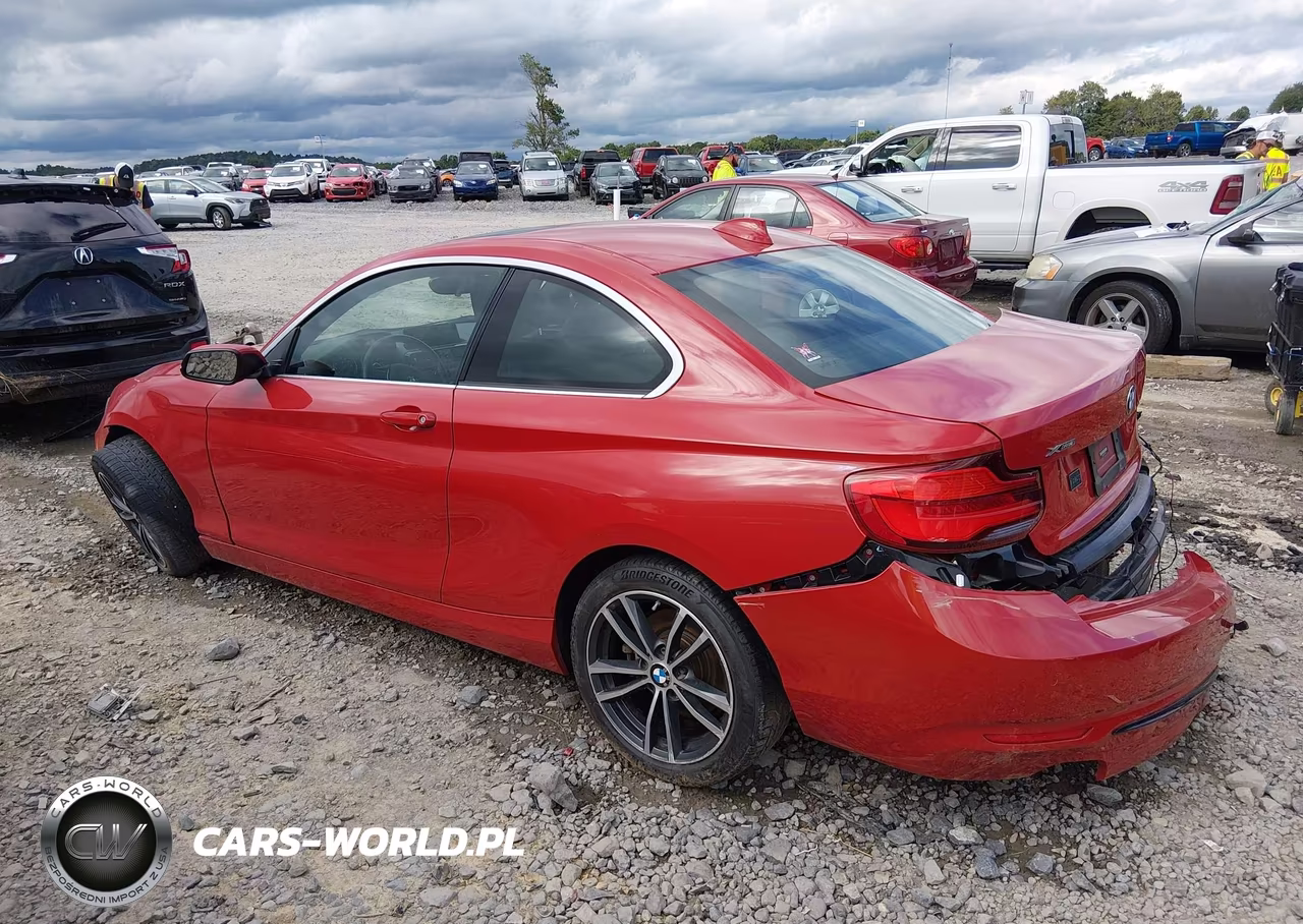 2019 BMW 230I xDrive VIN:WBA2J3C57KVD49242 - 15