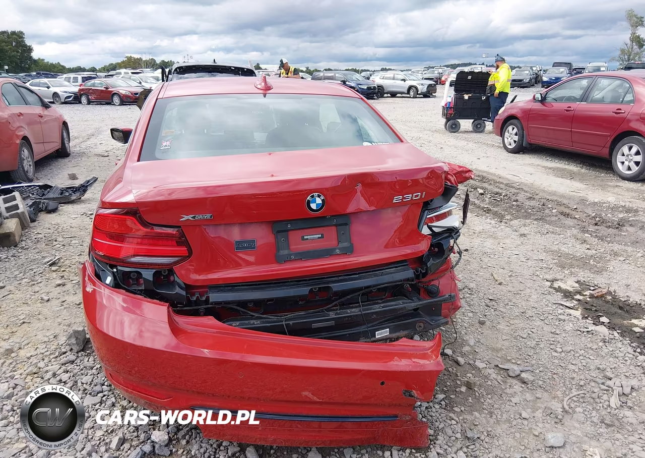 2019 BMW 230I xDrive VIN:WBA2J3C57KVD49242 - 17