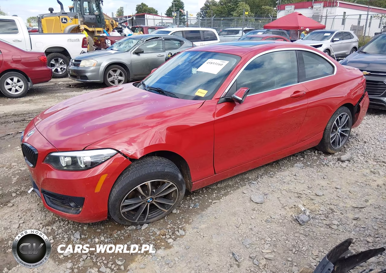 2019 BMW 230I xDrive VIN:WBA2J3C57KVD49242 - 2
