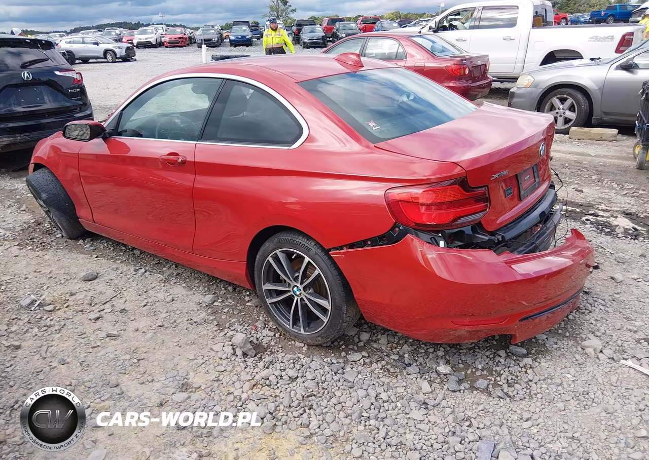 2019 BMW 230I xDrive VIN:WBA2J3C57KVD49242 - 3