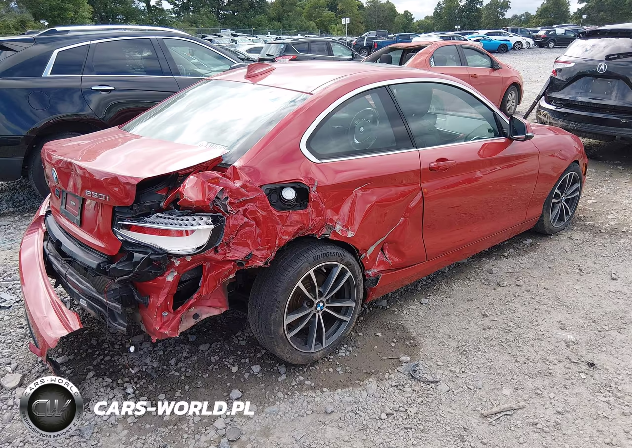 2019 BMW 230I xDrive VIN:WBA2J3C57KVD49242 - 4