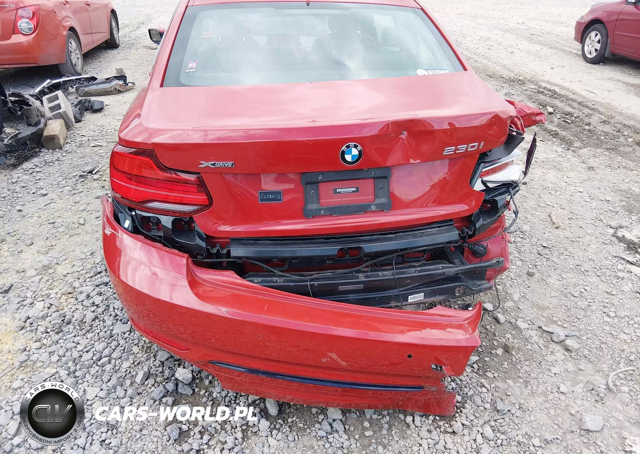 2019 BMW 230I xDrive VIN:WBA2J3C57KVD49242 - 6