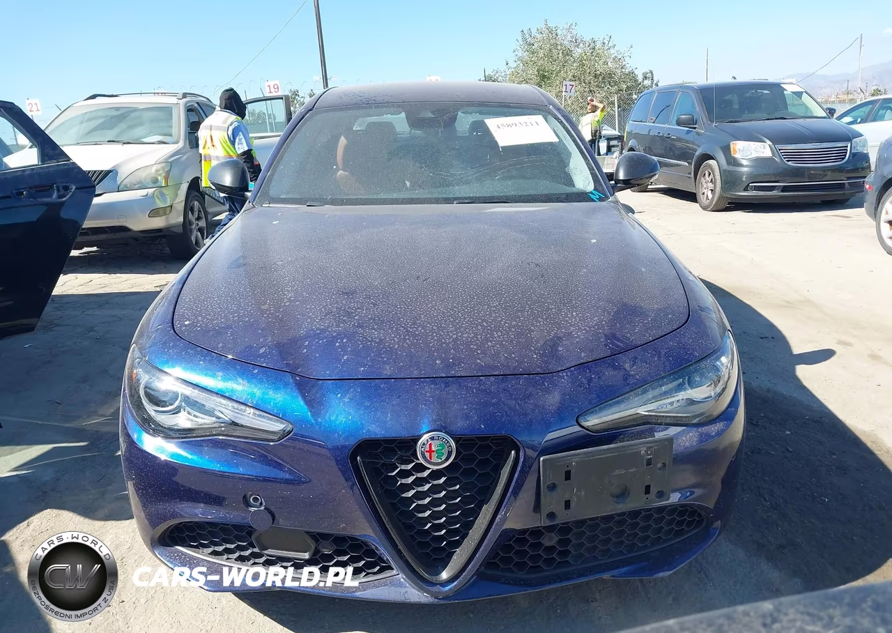 2020 Alfa Romeo Giulia Rwd VIN:ZARFAMAN2L7637031 - 12