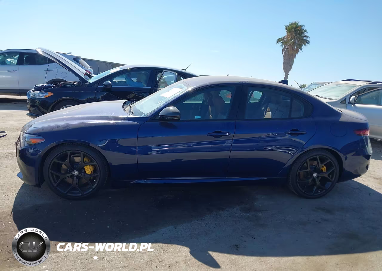 2020 Alfa Romeo Giulia Rwd VIN:ZARFAMAN2L7637031 - 14