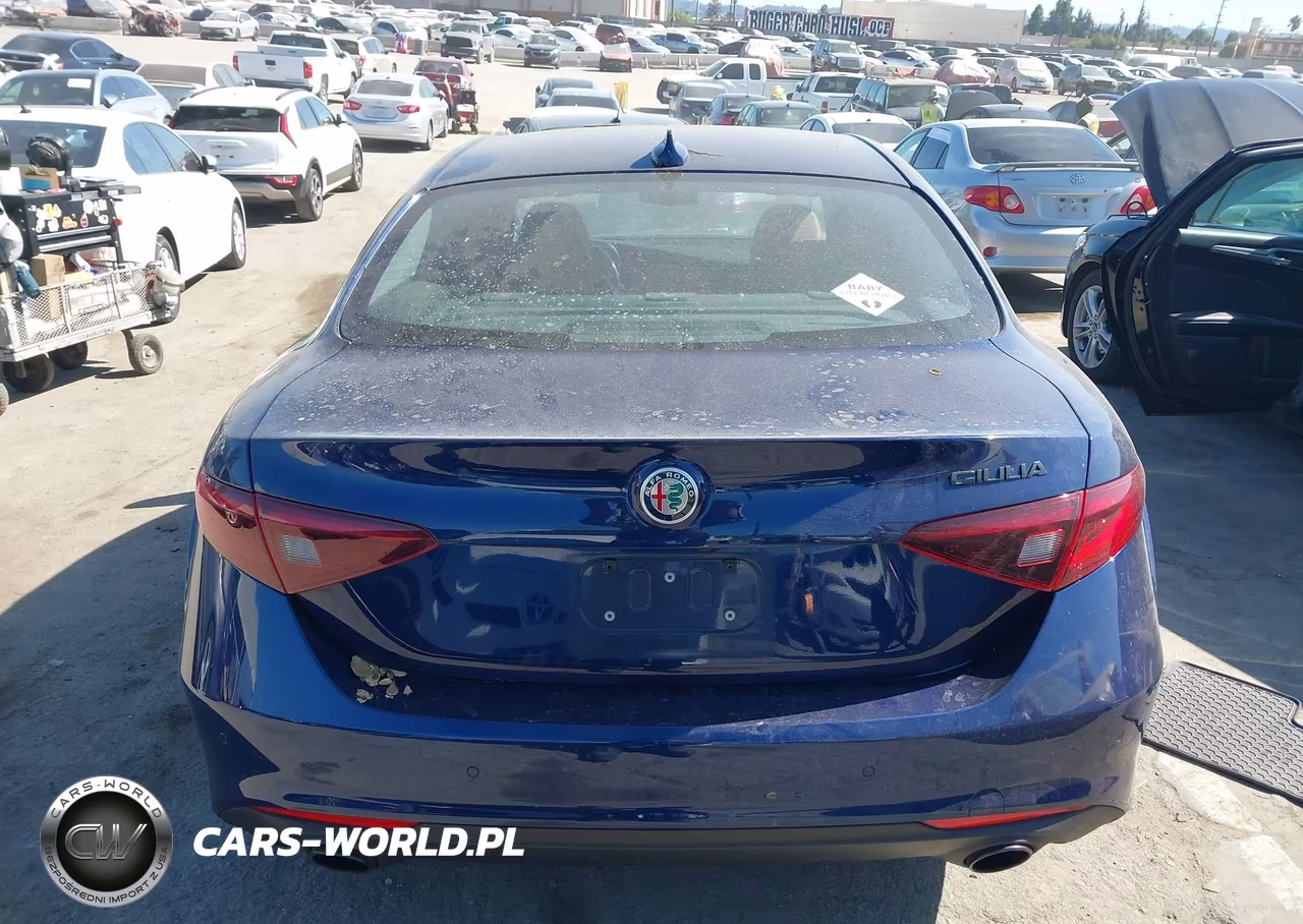 2020 Alfa Romeo Giulia Rwd VIN:ZARFAMAN2L7637031 - 16