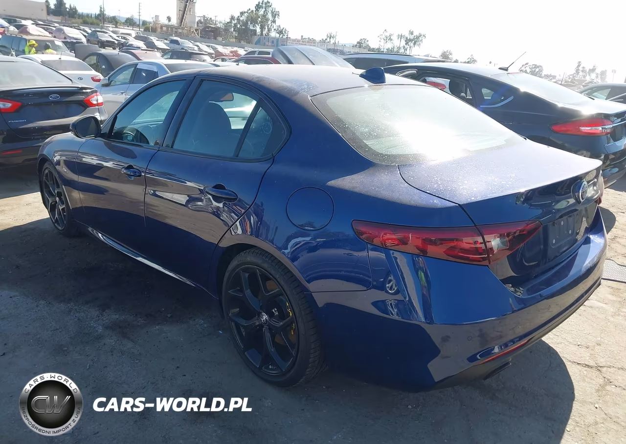 2020 Alfa Romeo Giulia Rwd VIN:ZARFAMAN2L7637031 - 3