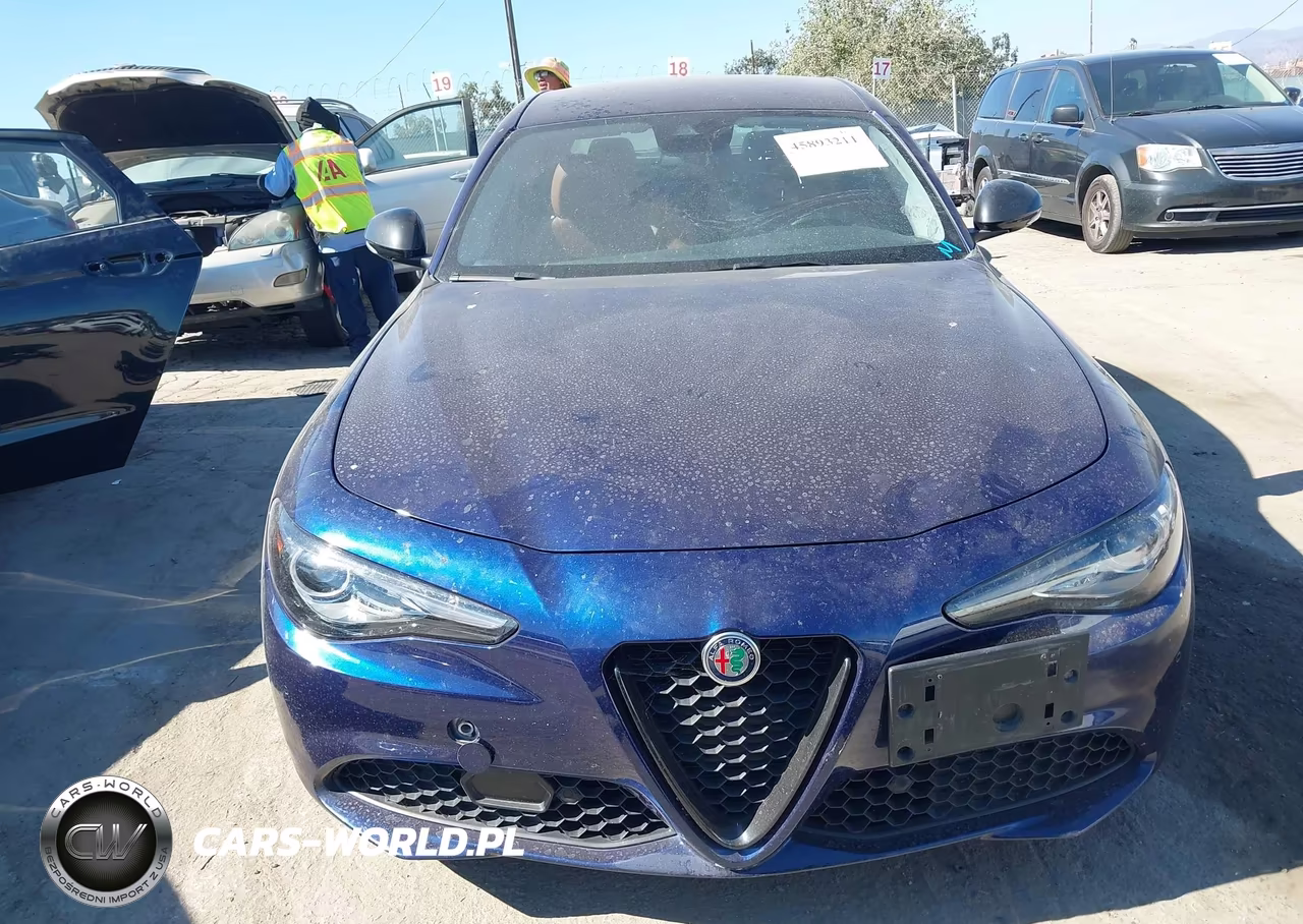 2020 Alfa Romeo Giulia Rwd VIN:ZARFAMAN2L7637031 - 6