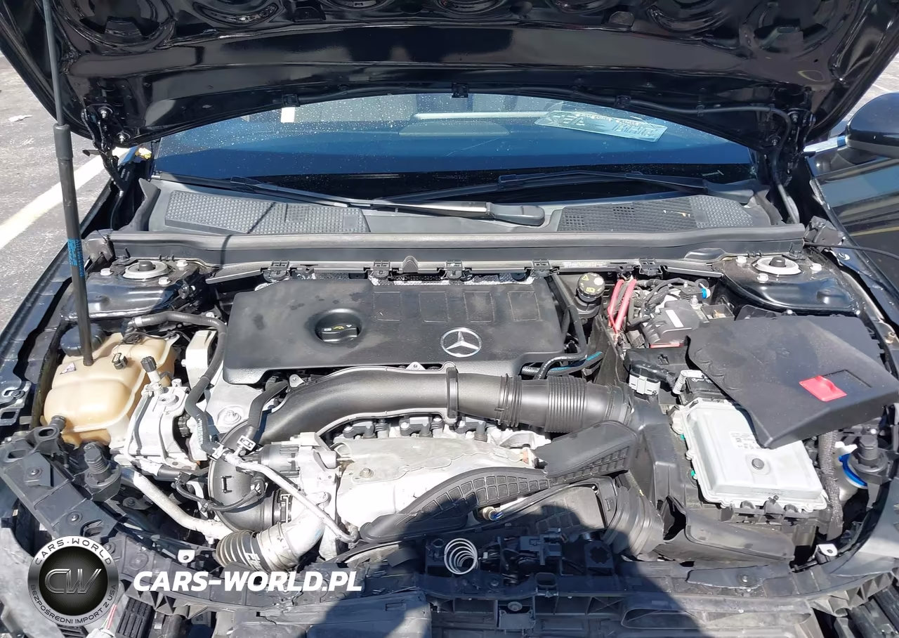 2019 Mercedes-Benz A 220 VIN:WDD3G4EB6KW020463 - 10
