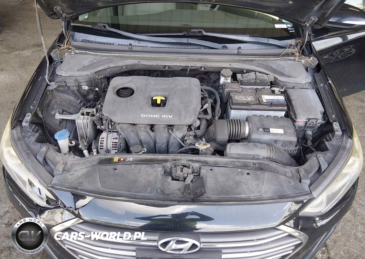 2017 Hyundai Elantra Limited VIN:5NPD84LF0HH071117 - 10