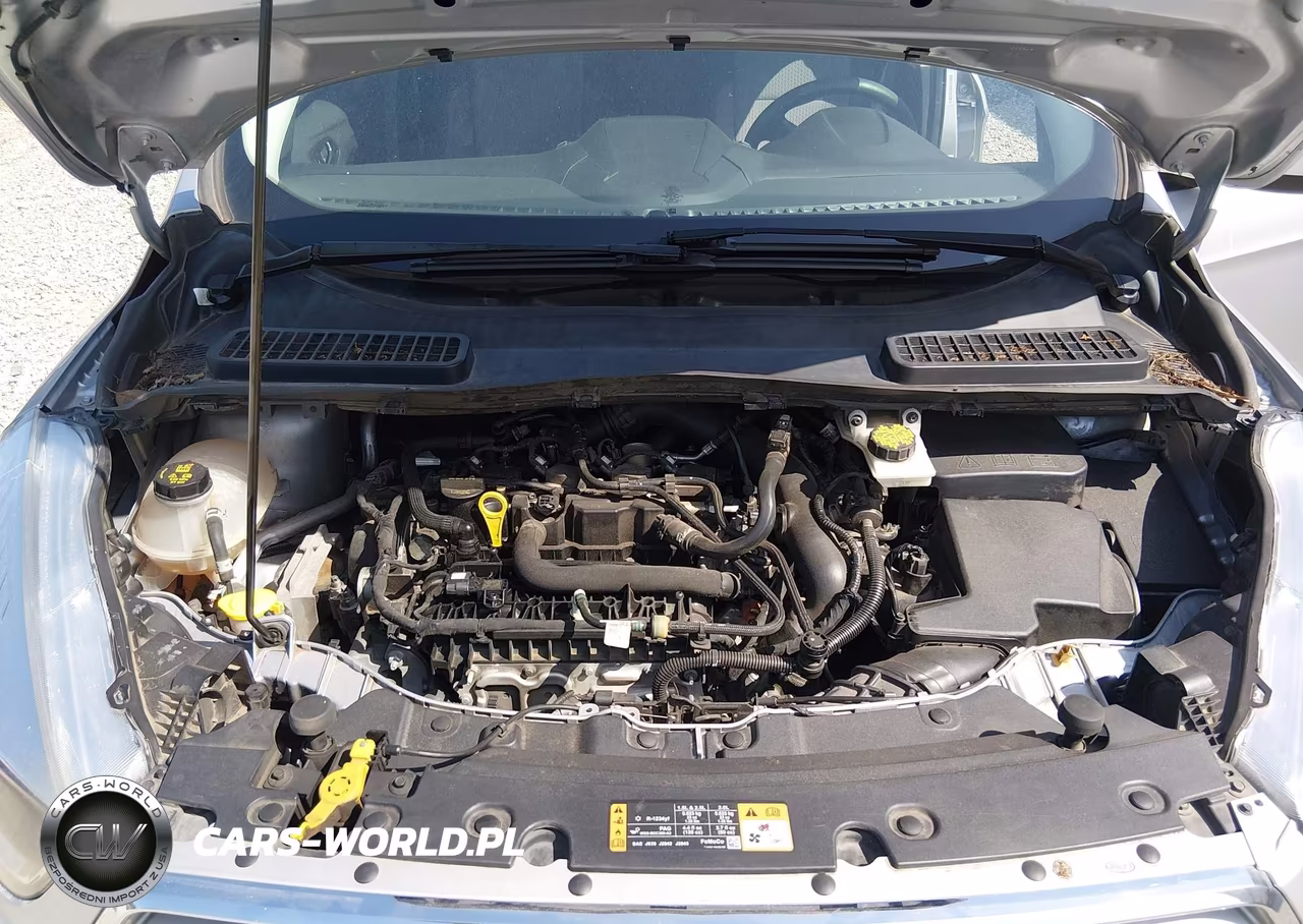 2019 Ford Escape Se VIN:1FMCU9GD2KUB90731 - 10