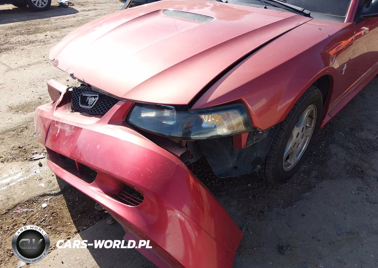 2002 Ford Mustang Deluxe-Premium VIN:1FAFP44482F229333 - 13