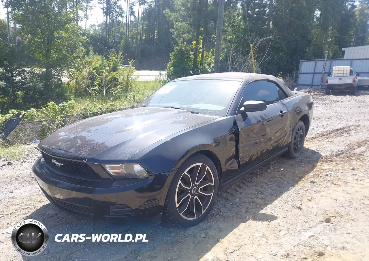 2010 Ford Mustang V6-V6 Premium VIN:1ZVBP8EN5A5113502 - 2