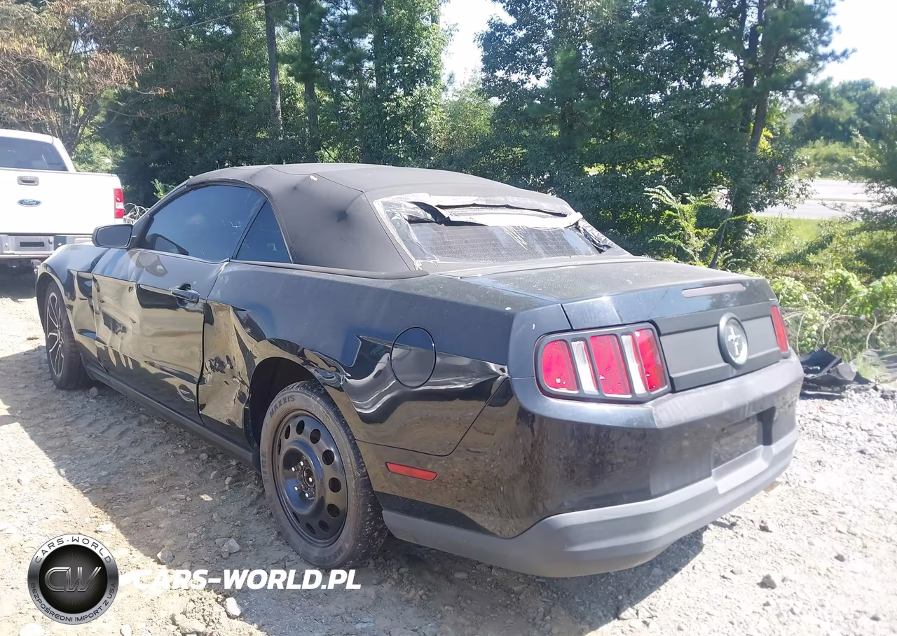 2010 Ford Mustang V6-V6 Premium VIN:1ZVBP8EN5A5113502 - 3