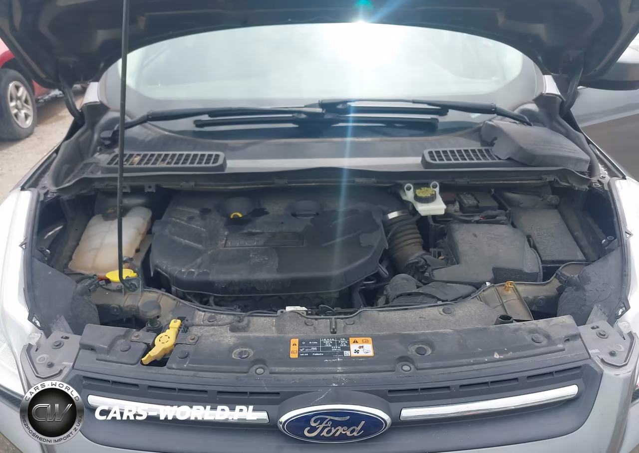 2014 Ford Escape Se VIN:1FMCU9G95EUD23854 - 10