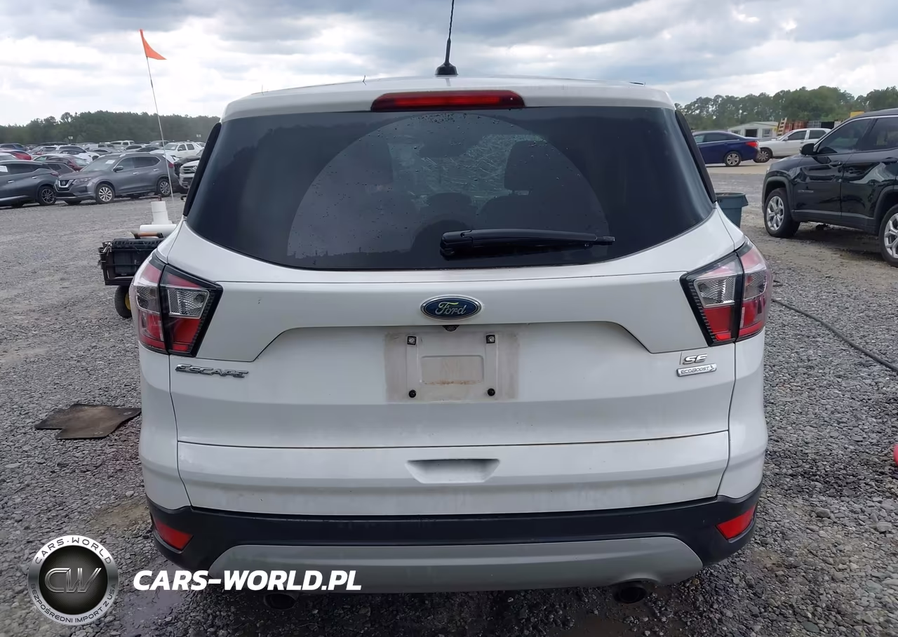 2017 Ford Escape Se VIN:1FMCU0G91HUB67974 - 16