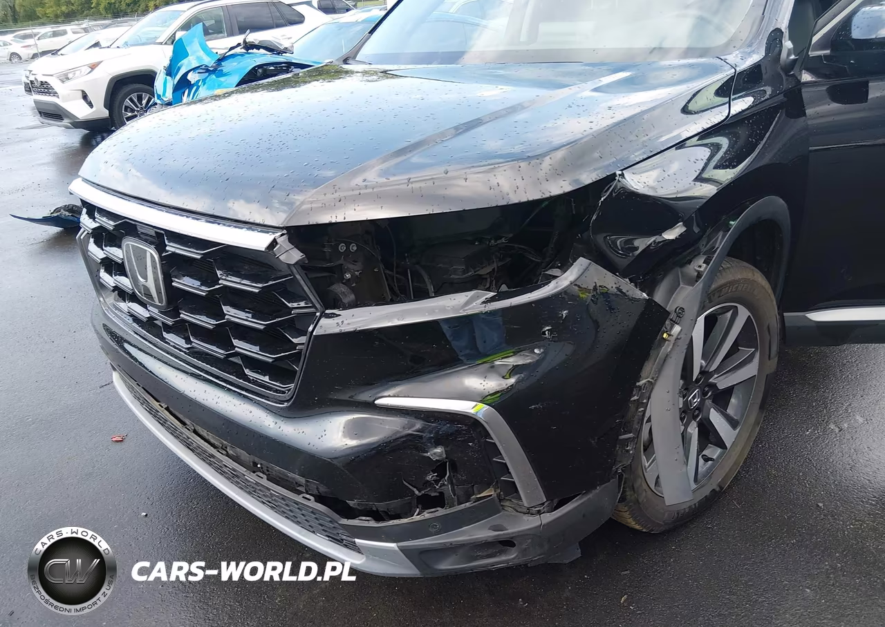 2024 Honda Pilot Touring VIN:5FNYG2H74RB001677 - 6