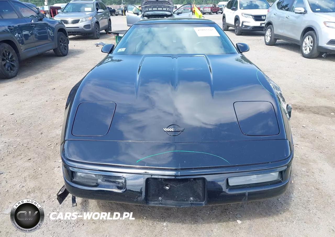 1996 Chevrolet Corvette VIN:1G1YY22P6T5107703 - 12