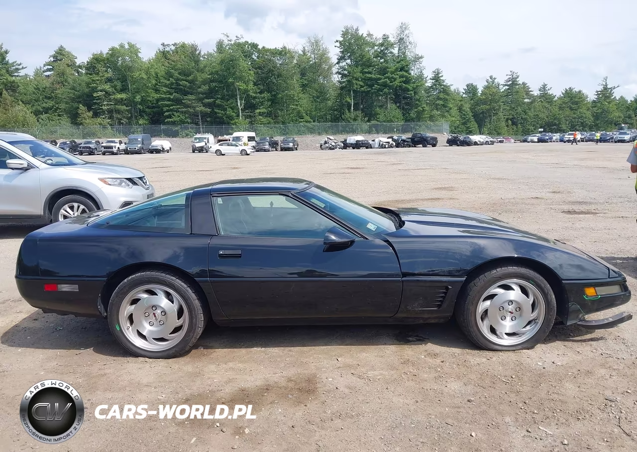 1996 Chevrolet Corvette VIN:1G1YY22P6T5107703 - 13