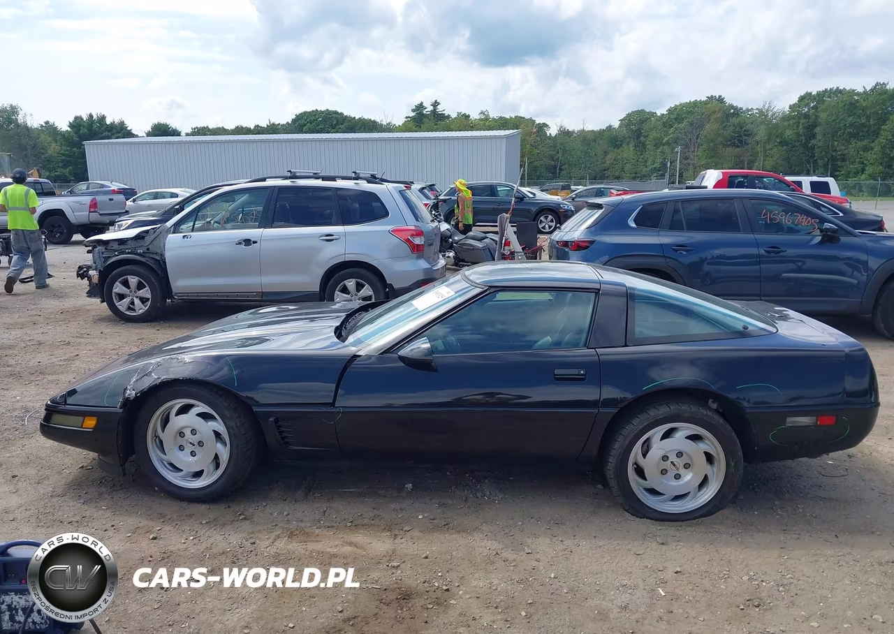 1996 Chevrolet Corvette VIN:1G1YY22P6T5107703 - 14