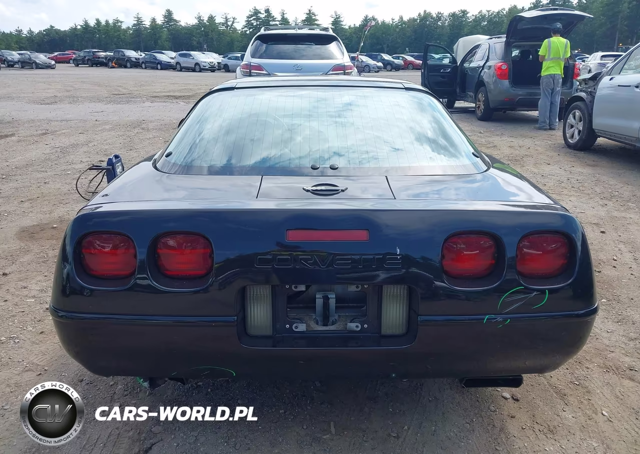 1996 Chevrolet Corvette VIN:1G1YY22P6T5107703 - 16