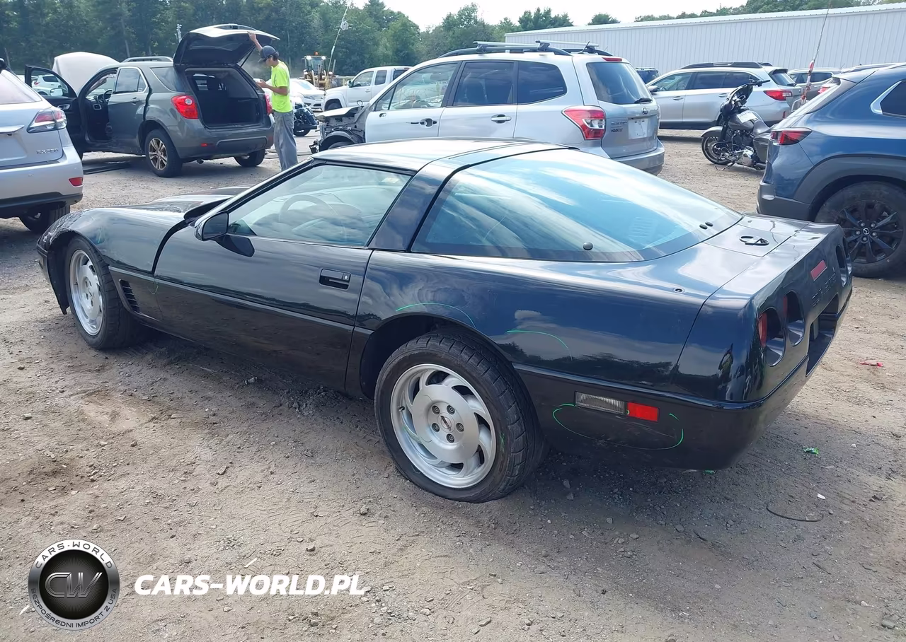 1996 Chevrolet Corvette VIN:1G1YY22P6T5107703 - 3