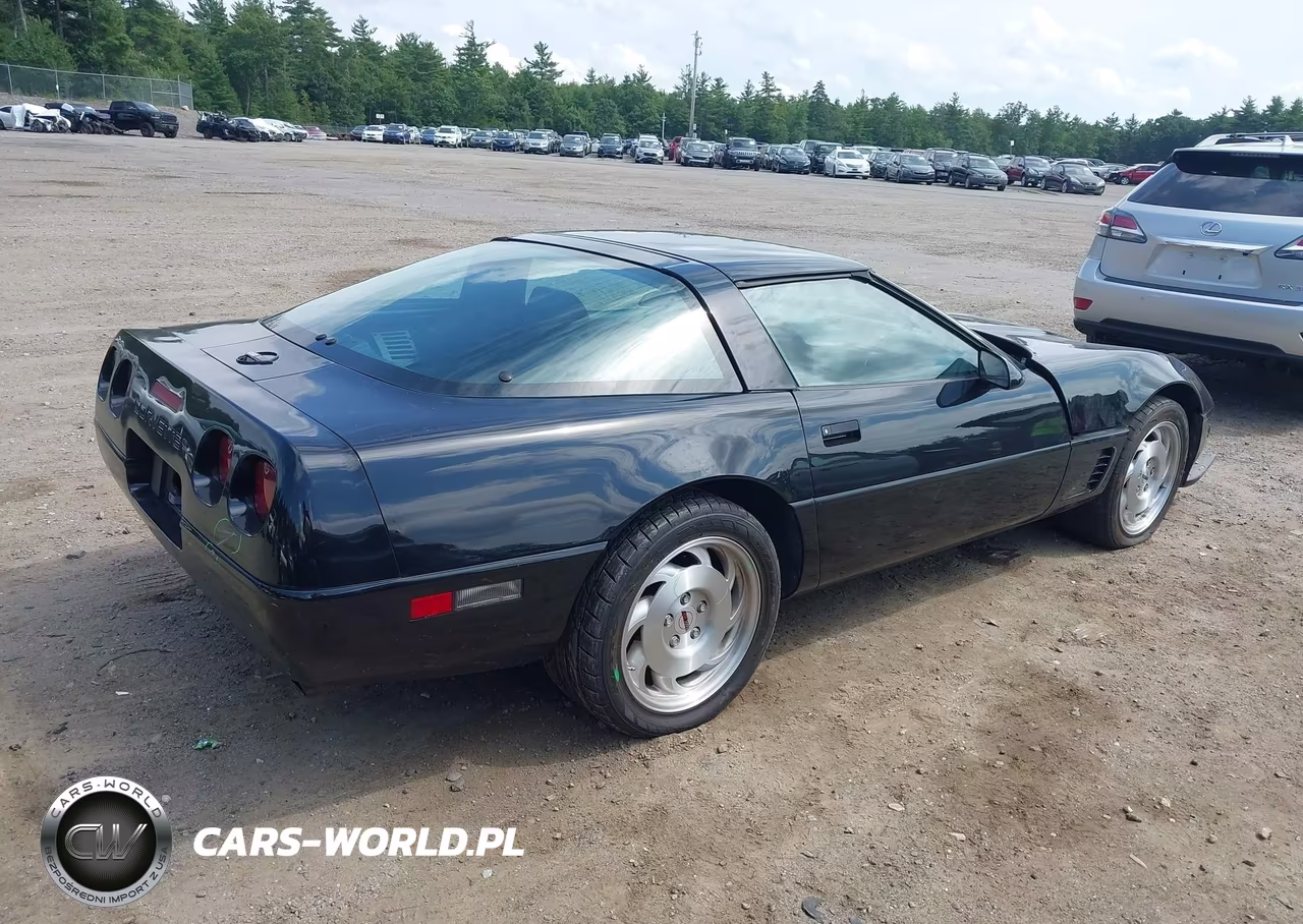 1996 Chevrolet Corvette VIN:1G1YY22P6T5107703 - 4