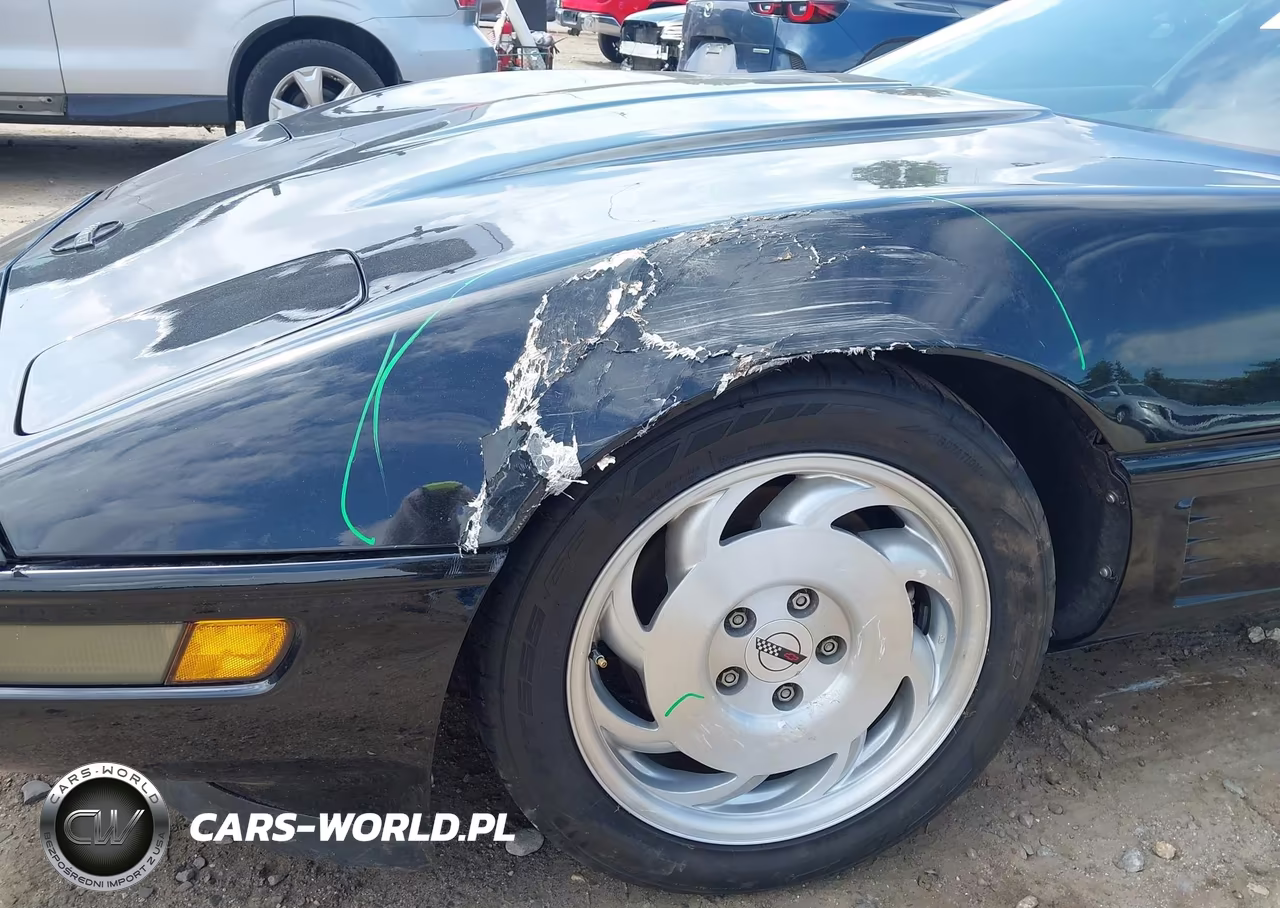 1996 Chevrolet Corvette VIN:1G1YY22P6T5107703 - 6