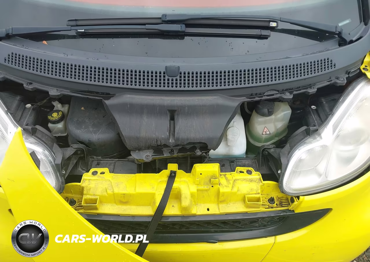2008 Smart Fortwo Passion-Pure VIN:WMEEJ31X78K104969 - 10