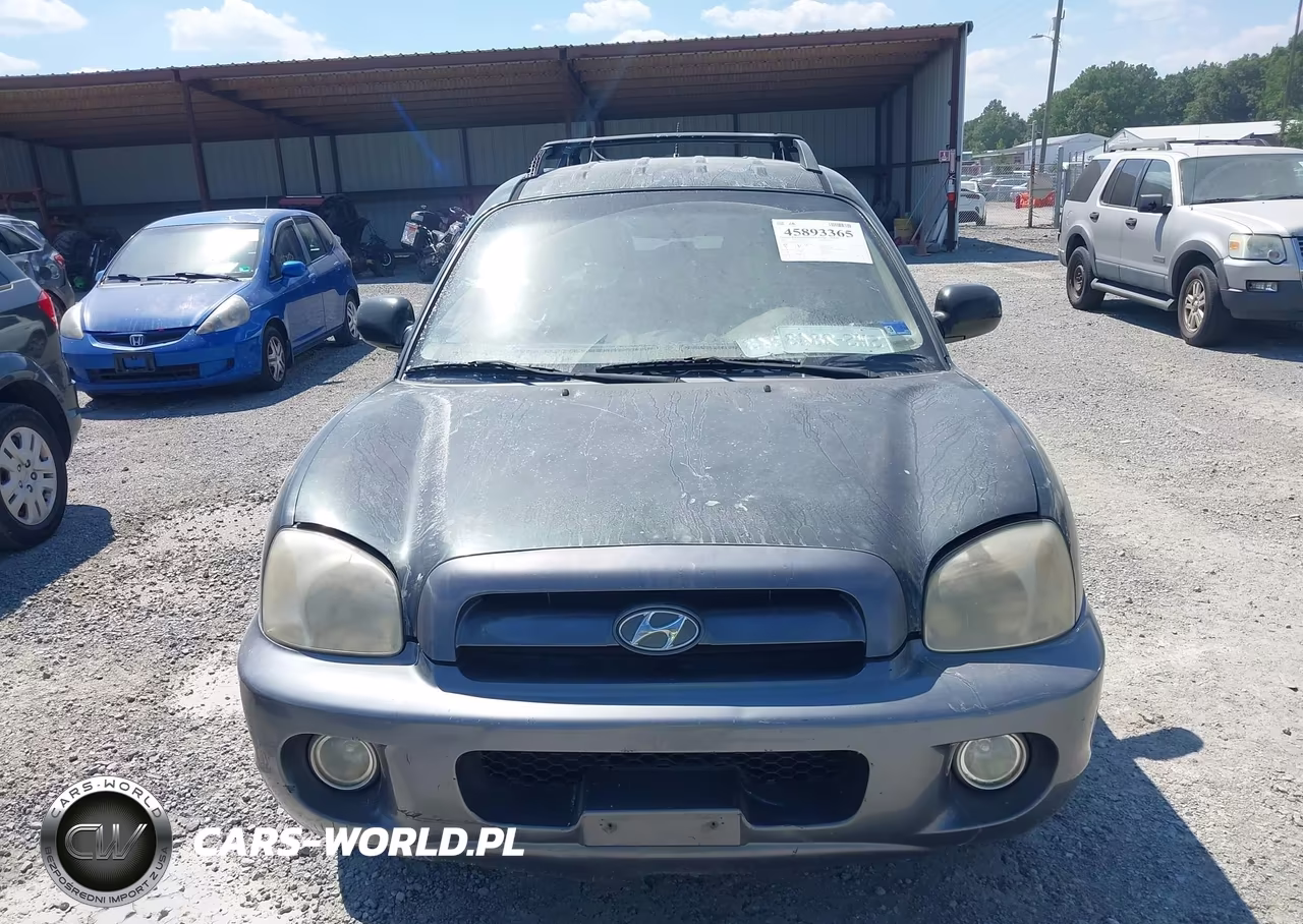2006 Hyundai Santa Fe Gls VIN:KM8SC73D36U097327 - 6