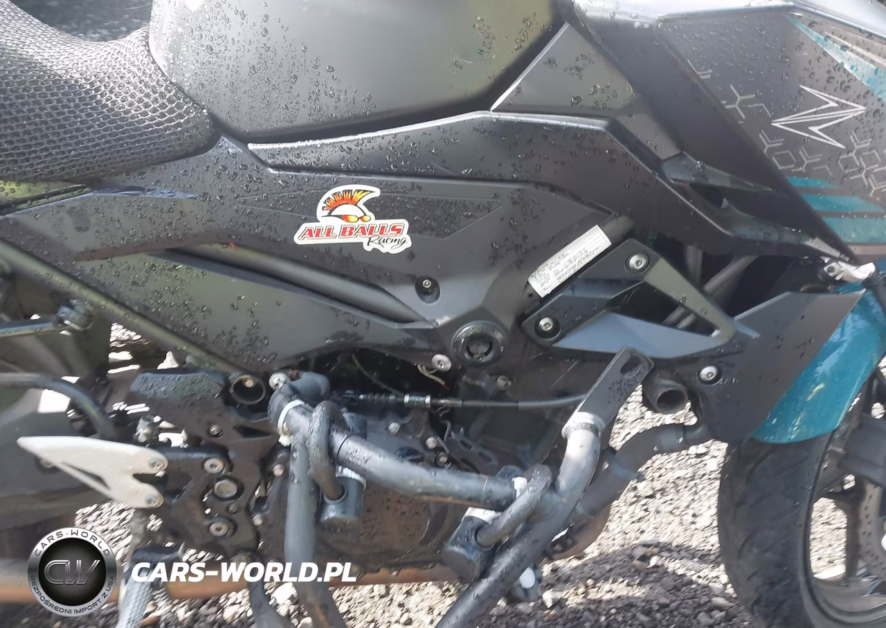 2021 Kawasaki Er400 D VIN:JKAERKD13MDAD6735 - 8