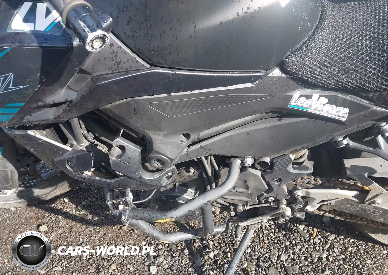 2021 Kawasaki Er400 D VIN:JKAERKD13MDAD6735 - 9