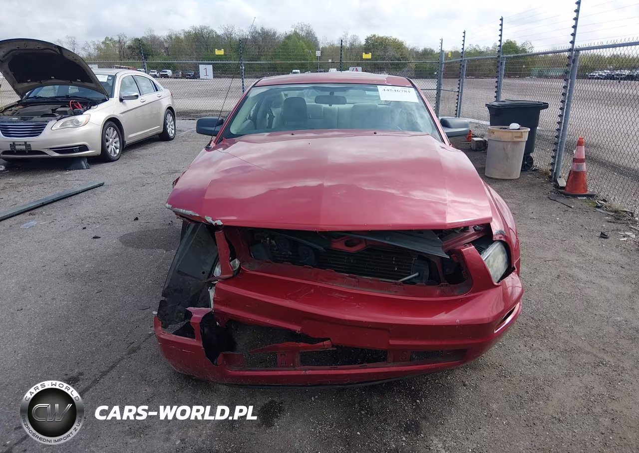 2009 Ford Mustang V6-V6 Premium VIN:1ZVHT80N495146788 - 13