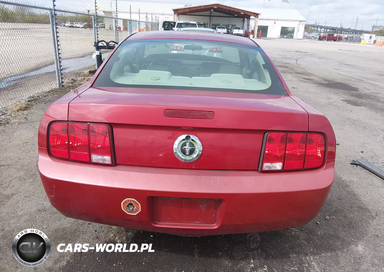 2009 Ford Mustang V6-V6 Premium VIN:1ZVHT80N495146788 - 17