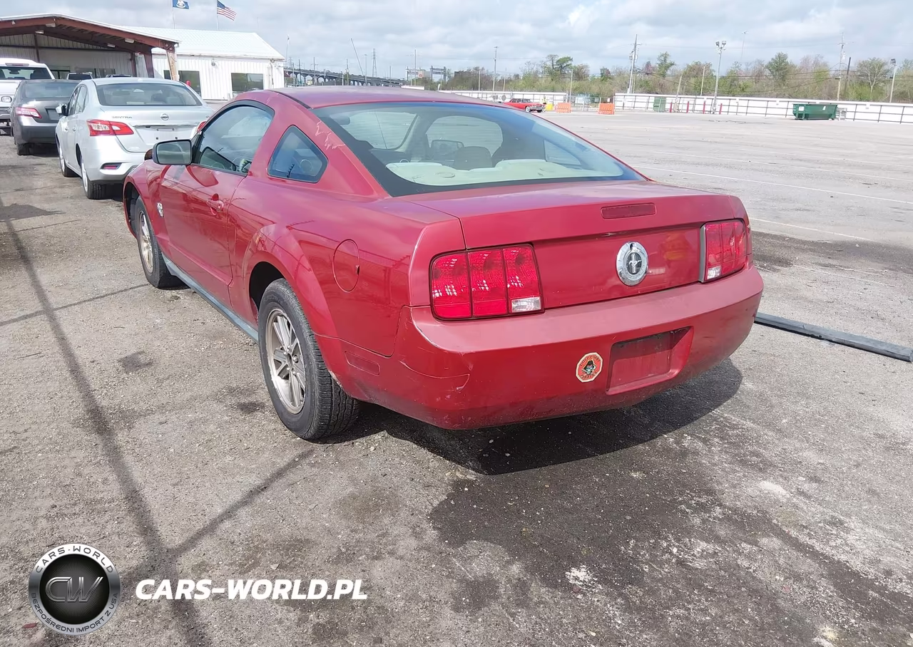 2009 Ford Mustang V6-V6 Premium VIN:1ZVHT80N495146788 - 3