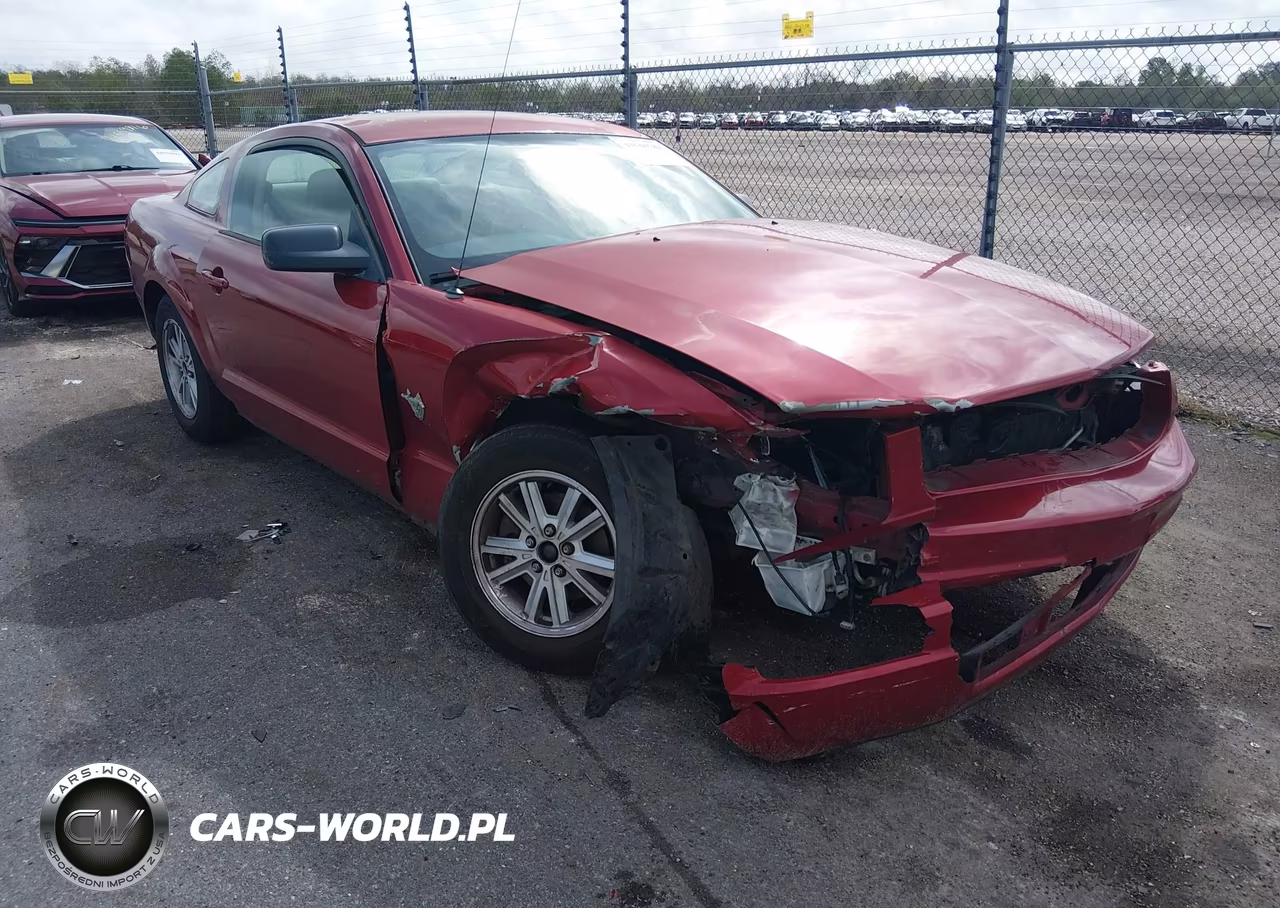 2009 Ford Mustang V6-V6 Premium VIN:1ZVHT80N495146788 - 6