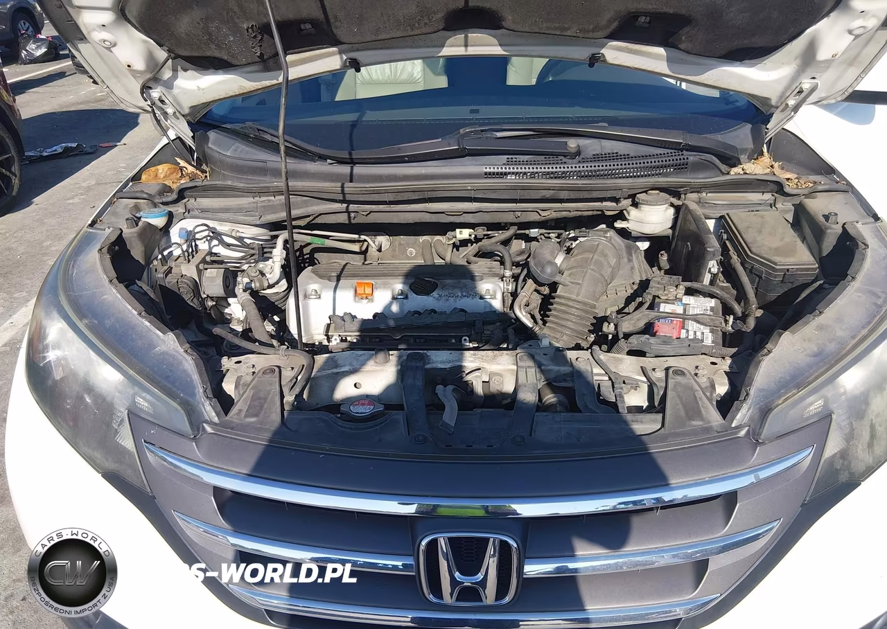 2014 Honda Cr-V Exl VIN:5J6RM3H79EL013523 - 10