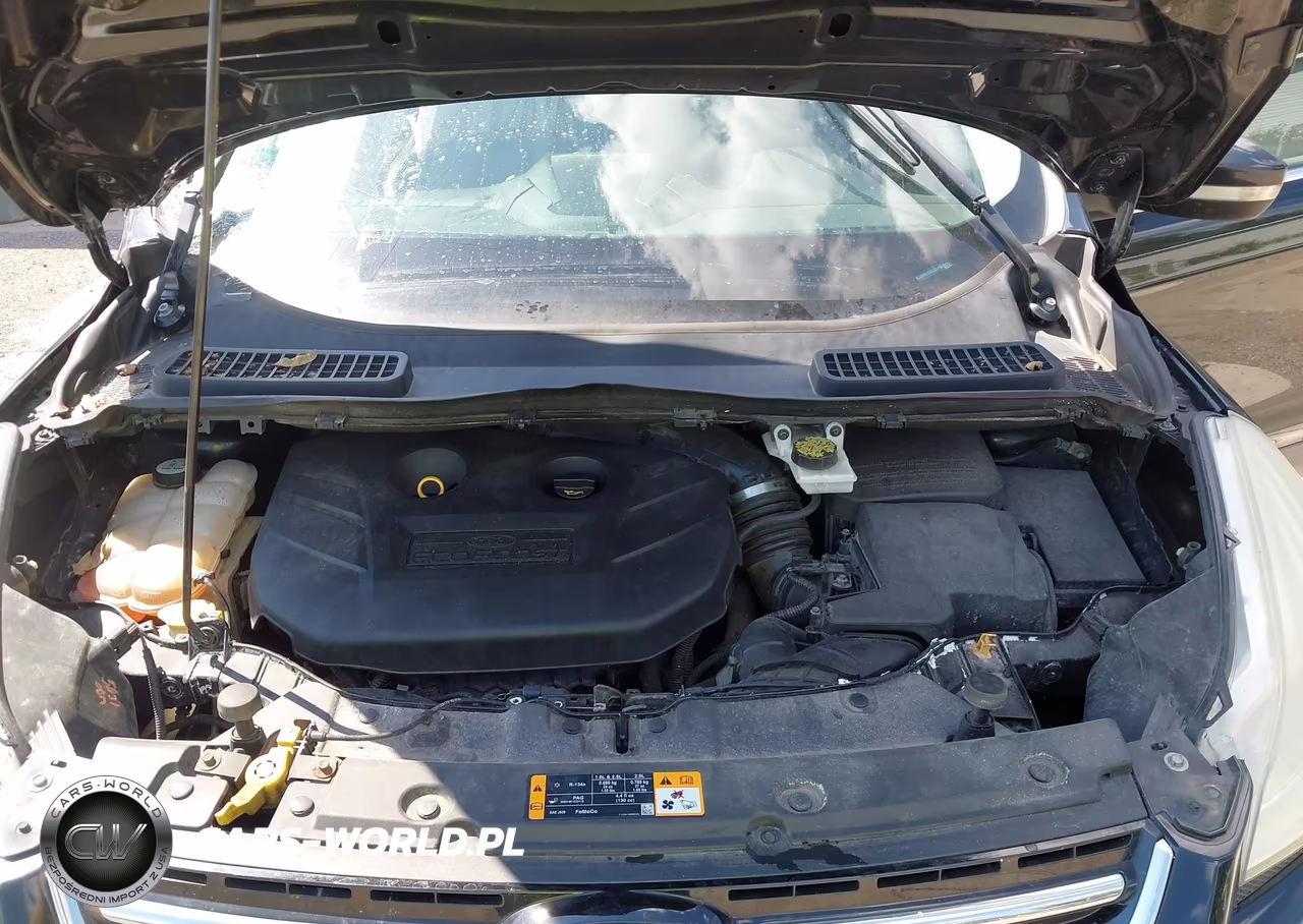 2013 Ford Escape Sel VIN:1FMCU9H91DUC53119 - 10