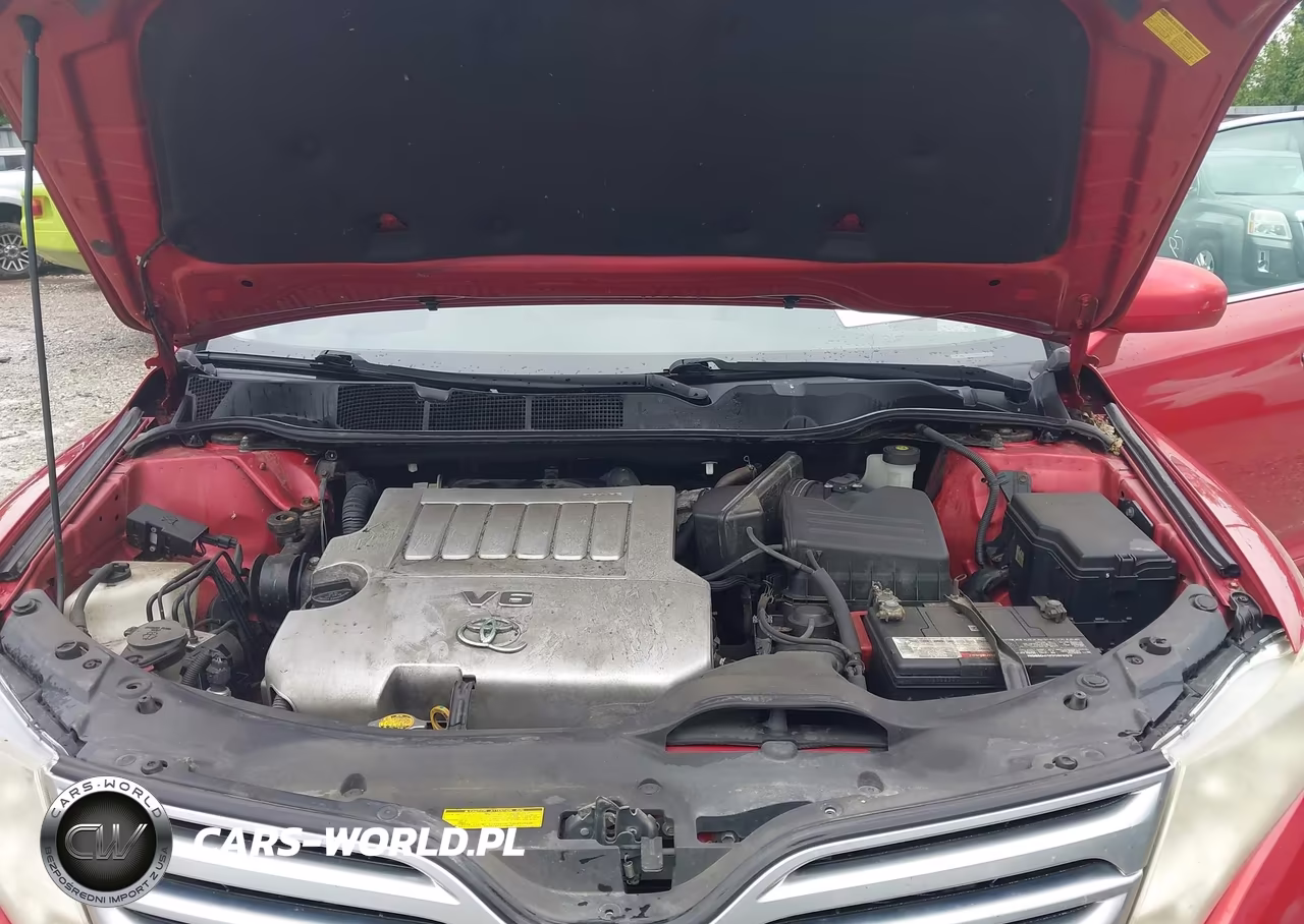 2009 Toyota Venza Base V6 VIN:4T3BK11AX9U024332 - 10