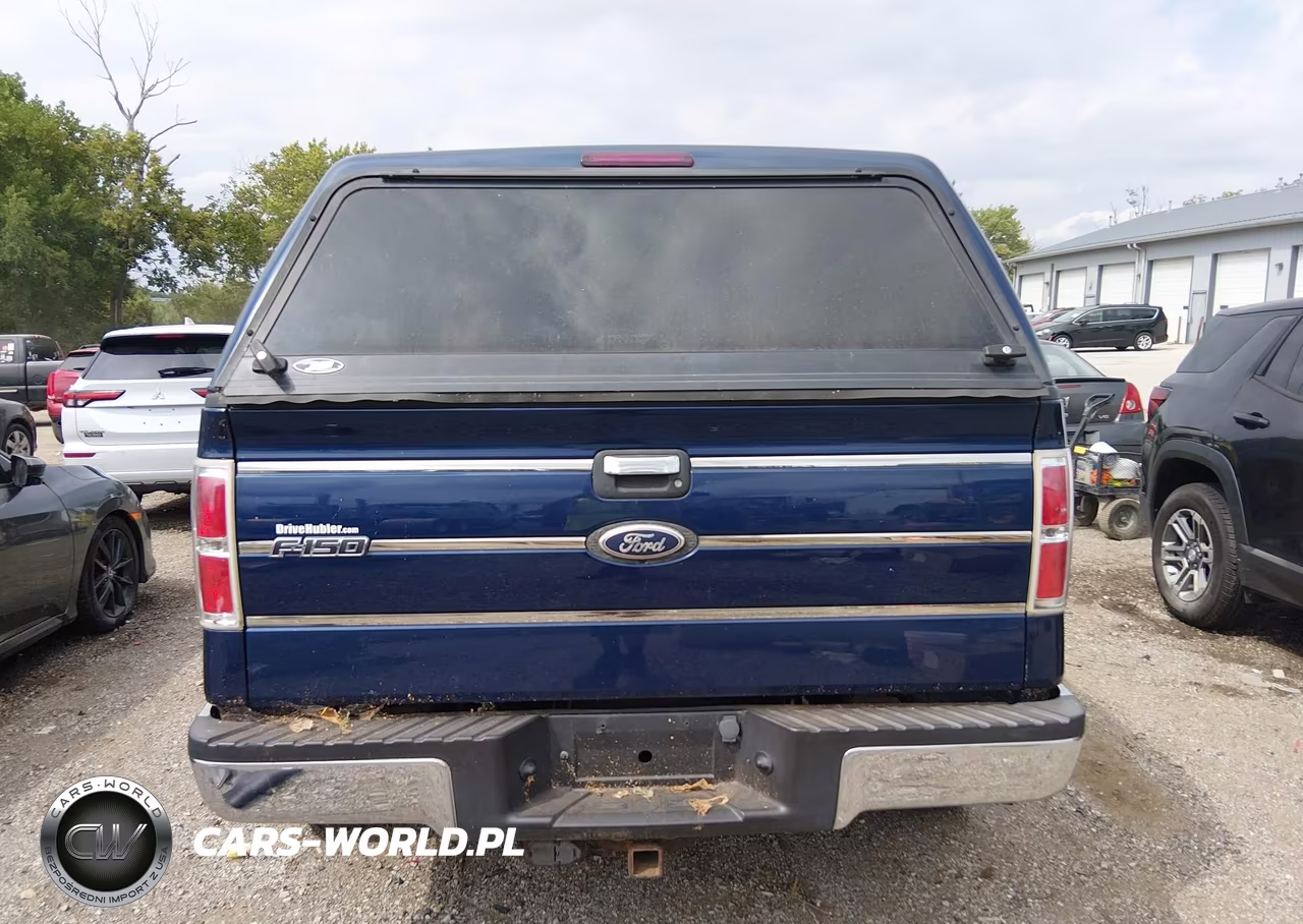 2009 Ford F-150 Lariat-Xl-Xlt VIN:1FTRX12V39KC51565 - 16