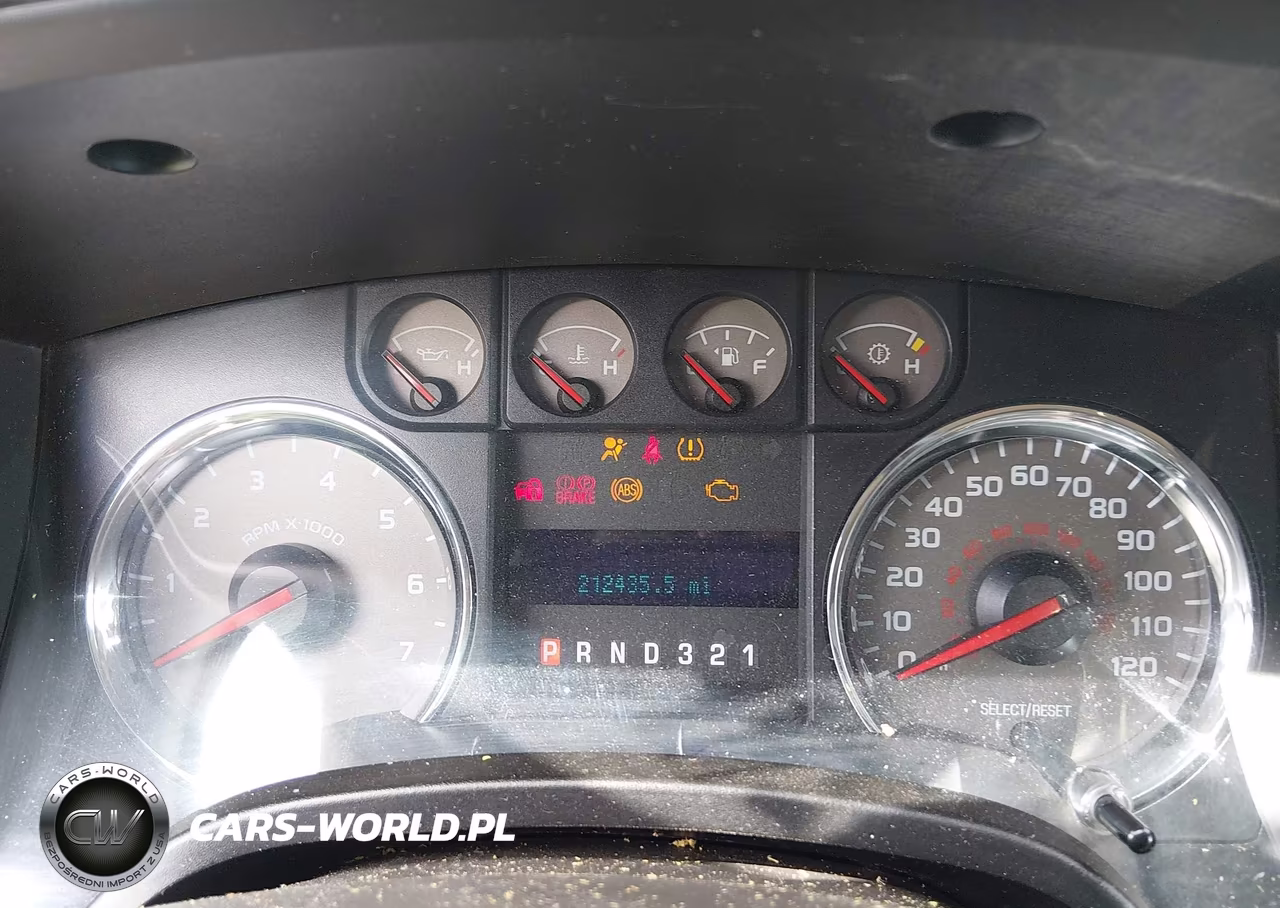 2009 Ford F-150 Lariat-Xl-Xlt VIN:1FTRX12V39KC51565 - 7