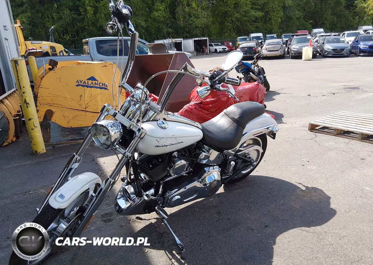 2004 Harley-Davidson Fxstdi VIN:1HD1JBB144Y053065 - 2