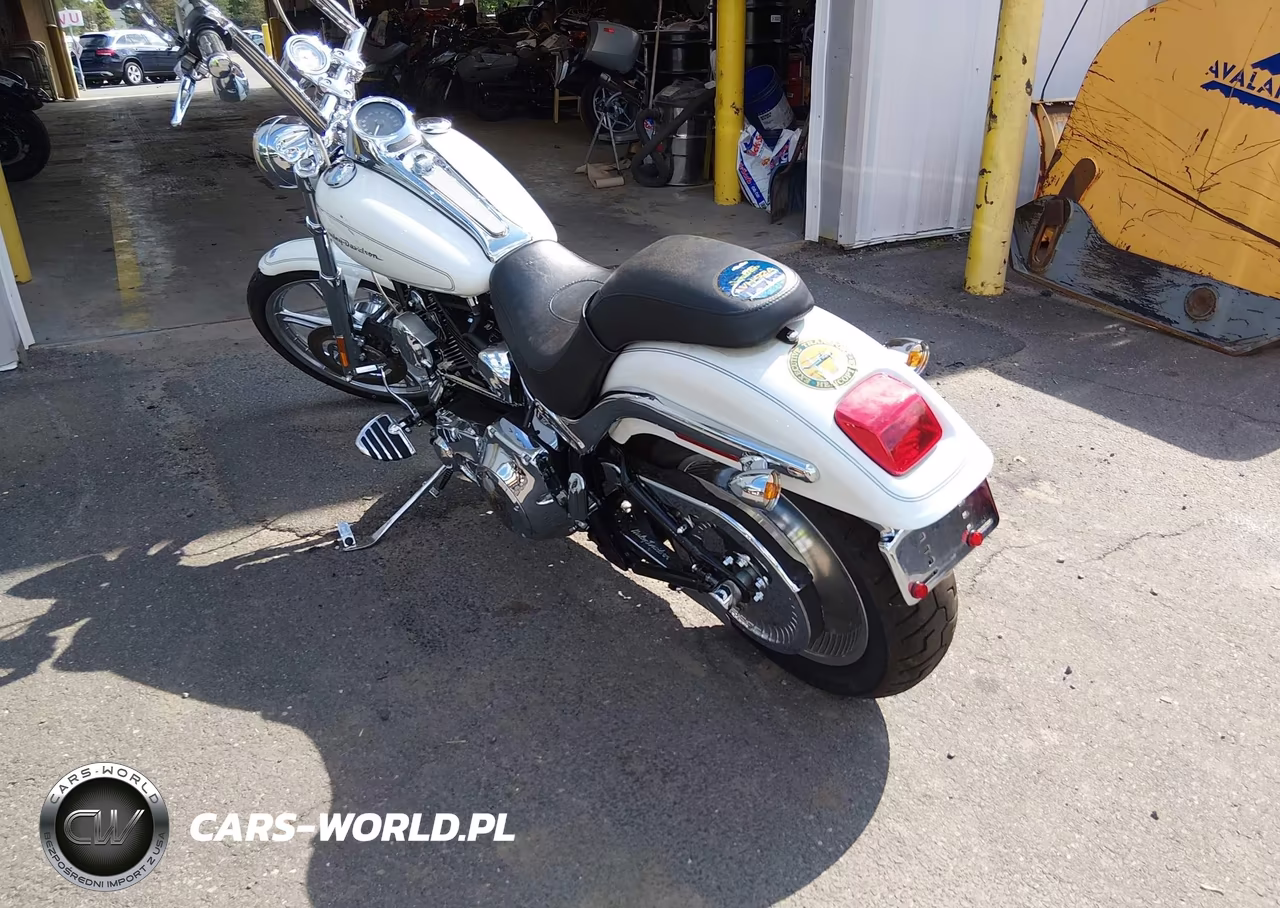 2004 Harley-Davidson Fxstdi VIN:1HD1JBB144Y053065 - 3