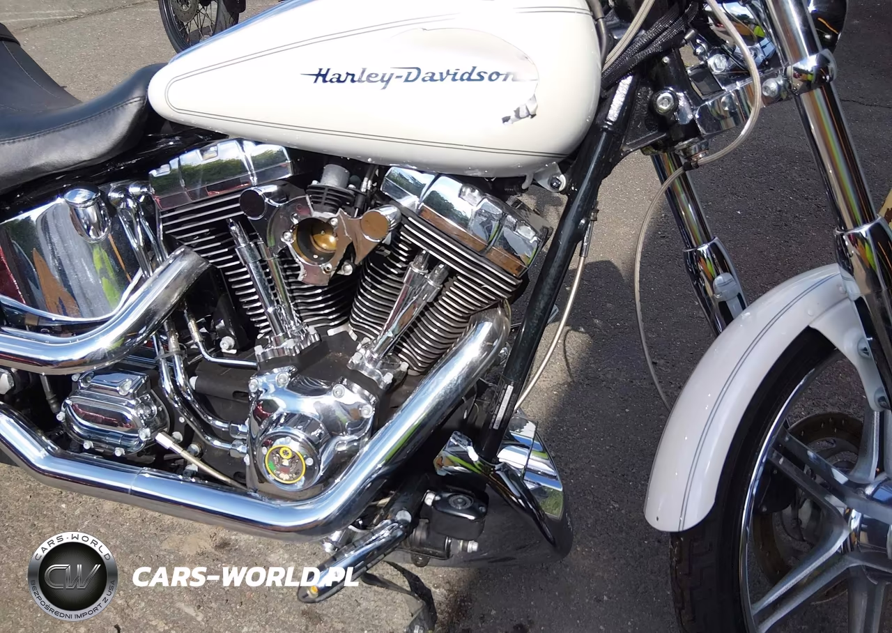 2004 Harley-Davidson Fxstdi VIN:1HD1JBB144Y053065 - 8