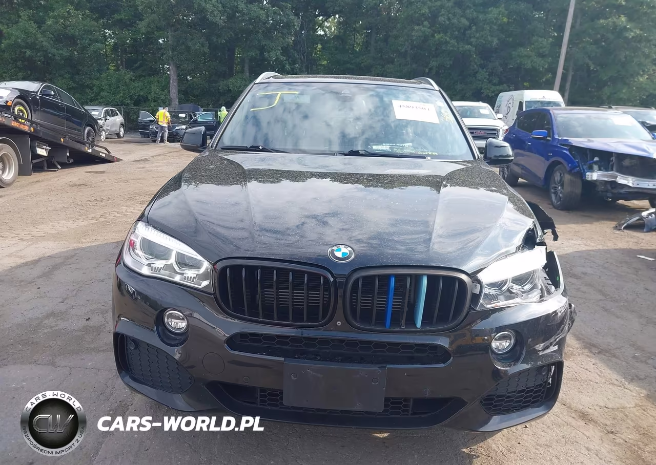 2017 BMW X5 Edrive xDrive40E Iperformance VIN:5UXKT0C31H0V96056 - 12