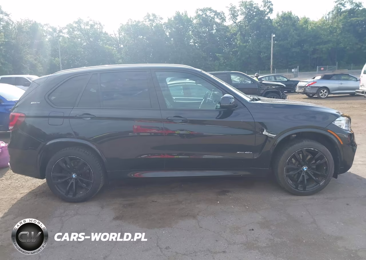 2017 BMW X5 Edrive xDrive40E Iperformance VIN:5UXKT0C31H0V96056 - 13