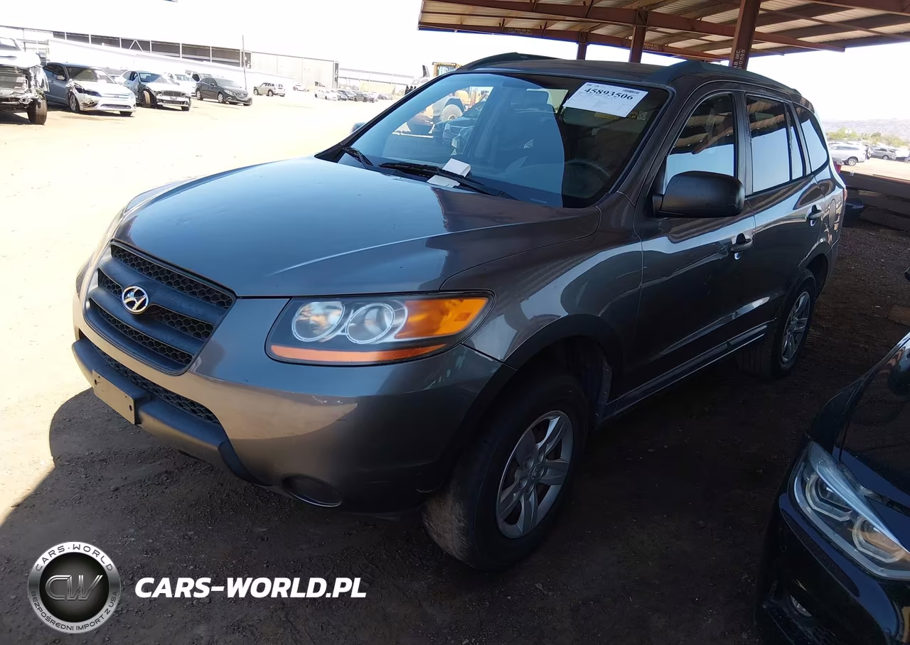 2009 Hyundai Santa Fe Gls VIN:5NMSG13D29H327425 - 2