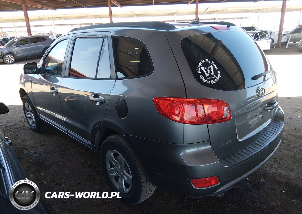 2009 Hyundai Santa Fe Gls VIN:5NMSG13D29H327425 - 3