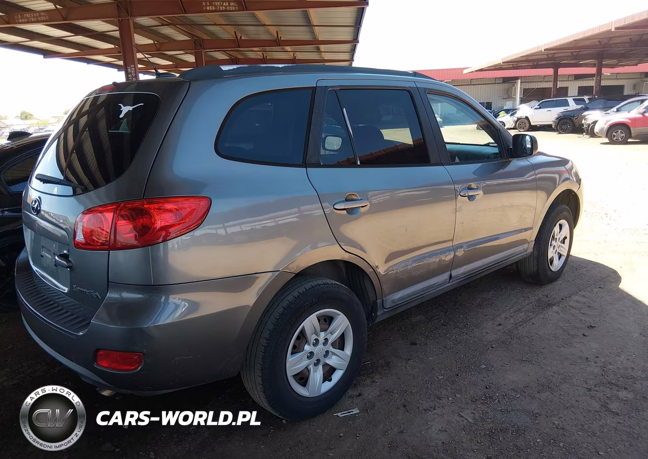 2009 Hyundai Santa Fe Gls VIN:5NMSG13D29H327425 - 6