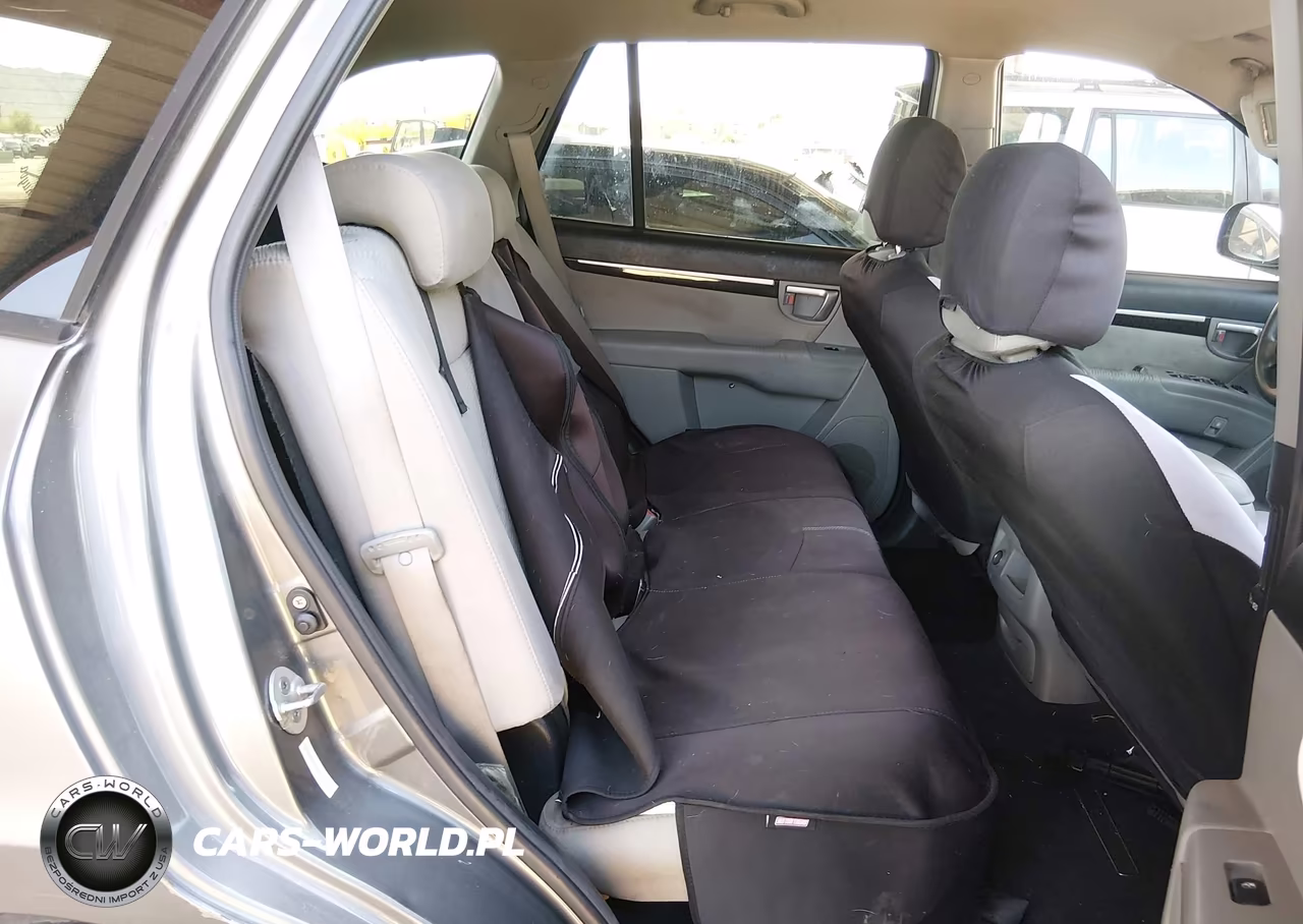 2009 Hyundai Santa Fe Gls VIN:5NMSG13D29H327425 - 8